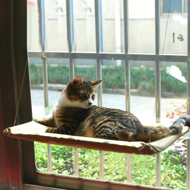 Custom Breathable Cat Hammock Bed Adjustable Removable Stable Cat Bed 1 Custom Breathable Cat Hammock Bed Adjustable Removable Stable Cat Bed