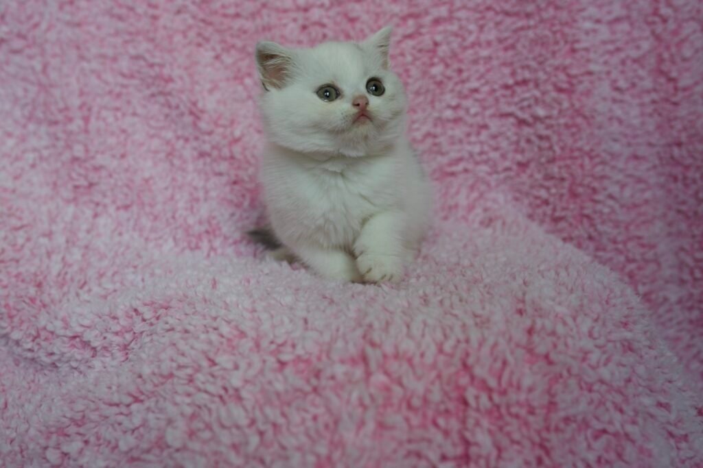 DSC0100 1